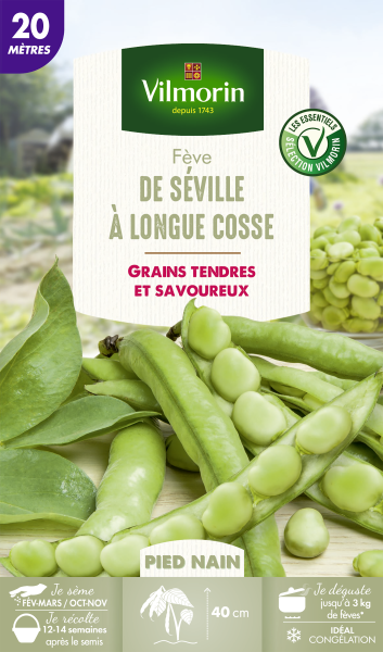 Légumes Secs - Fève de Séville à Longue Cosse - 20 m - PACKAGING_RECTO